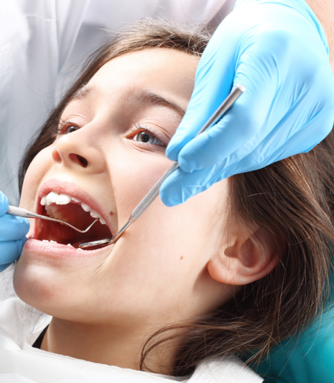 Dental Exams